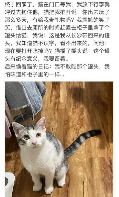 小猫文学