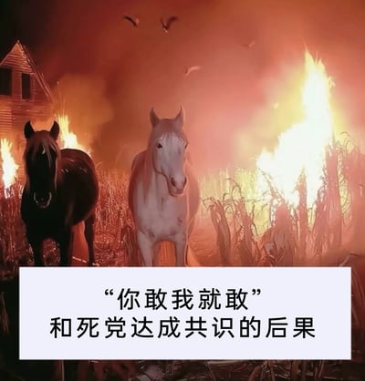 这是一张极具戏谑效果的搞笑梗图，画面中一匹黑马和一匹白马平静地站在一片熊熊燃烧的农田里，背景中还有着火的房屋，火光染红了天空，几只飞鸟仓皇掠过，整体场景混乱又充满荒诞感；画面下方的白色配文框内写着“‘你敢我就敢’和死党达成共识的后果”，用这种夸张的灾难性场景，精准调侃了现实中人们和死党在一起时，容易互相冲动附和、不计后果地做出决定，最终引发无法收拾的烂摊子的经历，通过强烈的视觉冲击放大了冲动行为的糟糕结果，能让有类似经历的人产生强烈共鸣，充满笑点。