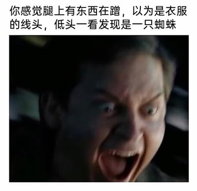 这是一张图文混排的搞笑表情包，上方配有场景描述文案：'你感觉腿上有东西在蹭，以为是衣服的线头，低头一看发现是一只蜘蛛'，下方是托比·马奎尔版《蜘蛛侠》中彼得·帕克的面部特写镜头，他双眼圆睁、嘴巴大张，面部肌肉扭曲，呈现出极度惊恐崩溃的大喊表情。该表情包利用蜘蛛侠与蜘蛛的关联玩反差梗，生动且夸张地还原了普通人突然发现身上有蜘蛛时的惊吓崩溃反应，充满搞笑效果，适合用来表达遭遇突发恐惧事物时的情绪。