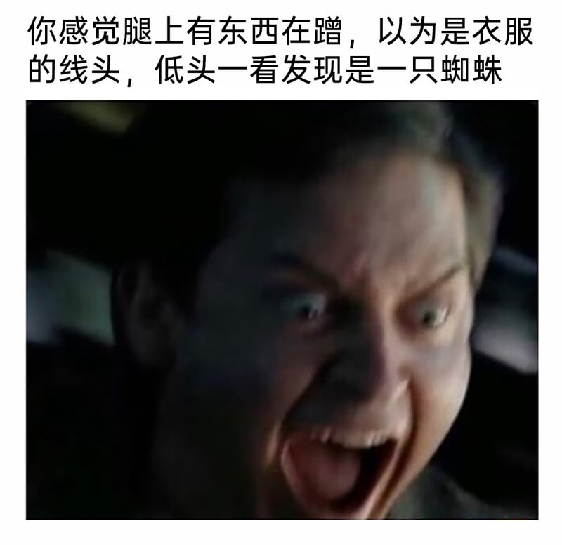 彼得·帕克（蜘蛛侠）