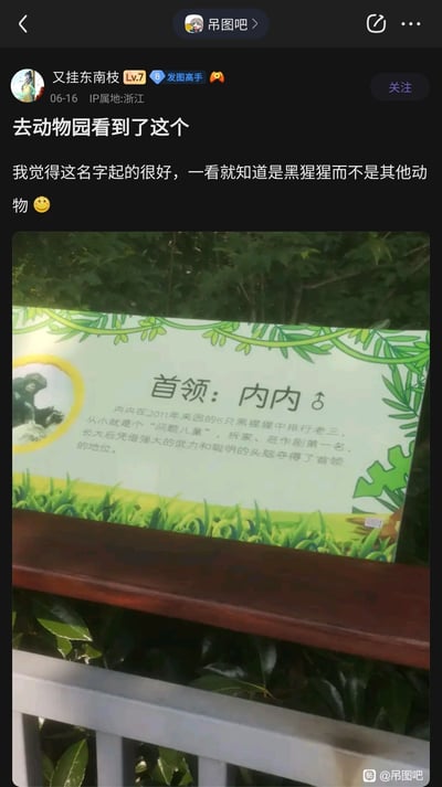 这是百度贴吧吊图吧用户“又挂东南枝”于2024年6月16日发布的原创帖子，IP属地为浙江。帖子内容是用户在动物园游玩时拍摄的黑猩猩首领科普展板，展板介绍了名为“内内”的雄性黑猩猩：它2011年来园，在6只黑猩猩中排行老三，从小是“问题儿童”，以拆家、恶作剧出名，长大后靠武力和头脑成为首领。用户调侃这个名字起得很好，一看就知道是黑猩猩而非其他动物，结合展板内容形成了充满趣味的日常分享，展现了动物园里的有趣细节。