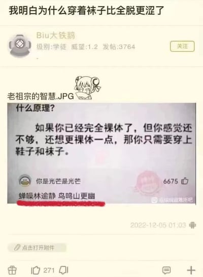 社交媒体截图展示了用户"Biu大铁鹅"发布的帖子，讨论为什么穿着袜子可能比完全裸体更具吸引力。帖子包含一个卡通人物插图和一段解释这一现象的文字，随后有用户以"蝉噪林逾静 鸟鸣山更幽"的诗句进行回应，暗示通过对比产生的效果。