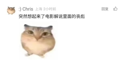 这是一张社交媒体评论截图，来自定位上海的用户Chris，发布于2小时前。评论内容为“突然想起来了电影解说里面的丧彪”，并附带了一张AI合成的动物图片：该动物有着类似猫头鹰的面部，搭配圆润肥胖的身体，眼神低垂，面部神态冷酷凶狠，看起来严肃且带有威慑感，和各类电影解说视频中频繁出现的反派角色“丧彪”的气质高度贴合，用户通过这张表情包玩梗，将动物的神态与经典反派形象关联，制造出趣味的网络迷因效果。