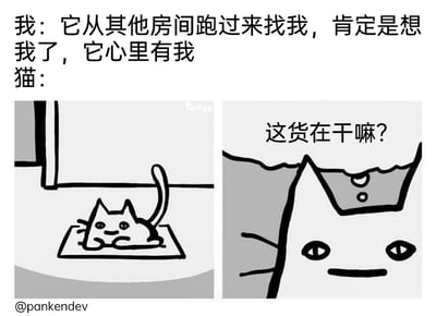 这是一张左右拼接的卡通风格梗图，通过主人的自我脑补和猫咪的真实想法形成搞笑反差。上方文字是主人看到猫咪从其他房间跑过来后的内心活动，充满自我感动，认为猫咪是因为想念自己才过来；下方左侧画面是一只趴在垫子上的卡通猫咪，神态悠闲；右侧是这只猫咪的近距离特写，配文“这货在干嘛？”，直白展现出猫咪对主人状态的疑惑，完全没有主人脑补的思念情绪，精准戳中养猫人常对猫咪行为过度解读的日常，充满趣味。
