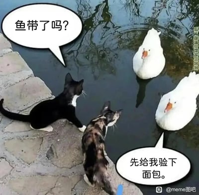 这是一张经过二次创作的搞笑梗图，画面主体是真实拍摄的场景：一只黑白奶牛猫和一只玳瑁猫蹲在池塘的石岸边，正看向水中的两只白鸭。创作者给图中角色添加了拟人化的对话气泡，黑白奶牛猫的气泡内容是“鱼带了吗？”，下方的白鸭则回应“先给我验下面包。”，这段对话模仿了现实中类似交易对接、职场协作时的互动逻辑，将动物的互动拟人化，制造出荒诞又滑稽的反差感，让原本普通的动物场景充满趣味，很容易让观者联想到生活中类似的“索要-核验”的场景。