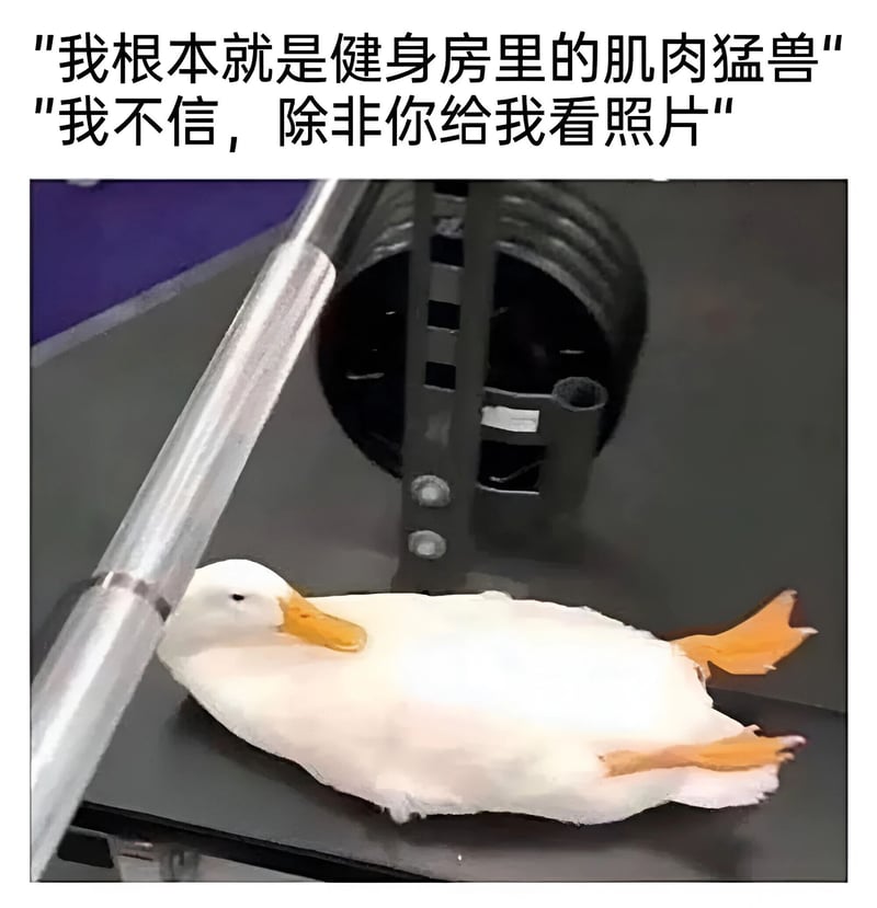 白鸭