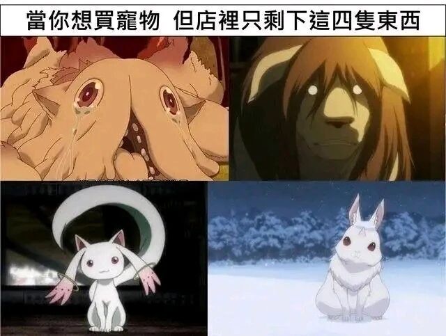 来自深渊