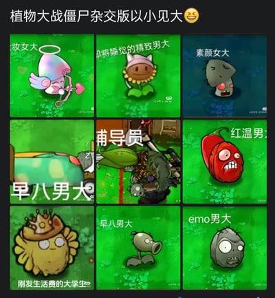 这是一张以《植物大战僵尸杂交版》的游戏形象制作的九宫格梗图，用不同的杂交植物、僵尸形象对应大学生活里的不同状态：
1. 妆女大：丘比特造型的杂交植物，对应精心打扮的女大学生
2. 即将睡觉的精致男大：戴睡帽的向日葵，对应睡前仍保持精致的男大学生
3. 素颜女大：蔫态的胆小菇，对应素颜状态的女大学生
4. 早八男大：在车里昏睡的杂交植物，对应早八犯困的男大学生
5. 辅导员：植物与僵尸结合的形象，对应管控学生的辅导员
6. 红温男大：愤怒的火爆辣椒，对应情绪激动、心态崩溃的男大学生
7. 刚发生活费的大学生：戴皇冠的向日葵，对应刚拿到生活费、瞬间“阔绰”的大学生
8. 早八男大：无精打采的豌豆射手，对应早八萎靡的男大学生
9. emo男大：丧丧的毁灭菇，对应情绪低落的emo男大学生

通过游戏形象精准映射大学生活的各种场景，接地气又搞笑，引发大学生群体的强烈共鸣。