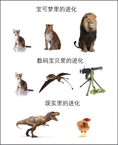 这是一张三栏对比图，幽默展示不同作品和现实中的"进化"概念。宝可梦的进化展示了小猫→豹子→狮子的合理生物进化链；数码宝贝的进化则呈现小猫→翼龙→机关枪的荒诞跳跃，调侃数码宝贝常进化为机械形态的设定；现实里的进化则以霸王龙→鸡作结，呼应鸟类由恐龙进化而来的科学理论。