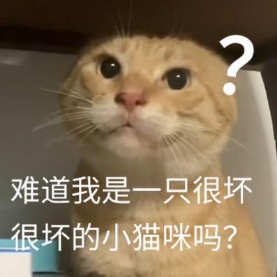 这是一张经过P图改编的表情素材图，图中是一只浅橘色的折耳猫，它睁着圆溜溜的大眼睛抬头看向上方，脸上露出疑惑又委屈的神情，右上角还添加了一个白色问号，下方配文“难道我是一只很坏很坏的小猫咪吗？”。软萌的猫咪神态加上委屈的文字，用来表达被误解后疑惑又难过的情绪，没有双关、谐音梗等内容。对于图中的问题，可以回答：“当然不是啦！你是最可爱的小猫咪🥺”