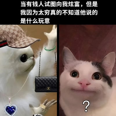 这是一张左右对比的搞笑梗图。上方配有文字“当有钱人试图向我炫富，但是我因为太穷真的不知道他说的是什么玩意”，点明了图片的核心主题。左侧画面中，一个白色的动物形象（疑似玩具或虚构角色）戴着带有Gucci经典花纹的帽子，脖子上挂着镶嵌蓝色宝石的心形吊坠，手中还拿着一个黑色菱格纹的类似Chanel款式的小手袋，身上同时佩戴着戒指和手镯等饰品，整体呈现出一种刻意展示奢侈品的姿态。右侧则是一张特写的猫咪照片，猫咪瞪着圆溜溜的大眼睛，眼神中充满了明显的困惑，脸颊旁还配有一个白色的问号符号，生动地表现出“完全不理解对方在说什么”的茫然状态。图片通过左右两侧的鲜明对比，幽默地描绘了当穷人面对富人炫富时因认知差距而产生的困惑反应，没有使用双关、谐音梗等修辞手法，而是通过场景和表情的反差制造喜剧效果。