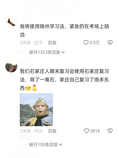 这是一张社交平台评论区的竖屏截图，展示了两条学生群体调侃期末复习与考试的搞笑评论。第一条来自辽宁的网友，利用“锦州”的谐音创造出“锦州学习法”，实际是谐音“紧张胡诌”，以此自嘲考试前没好好复习，只能在考场上紧张地瞎写；第二条来自河北石家庄的网友，将“石家庄”拆分为“石”和“家庄”，编造出“石家庄复习法”，调侃自己背的内容都没用，真正要考的自己复习的却没发挥作用，同时搭配了一张86版电视剧《西游记》中孙悟空惊讶摊手的剧照，生动传递出无奈又哭笑不得的情绪。两条评论分别获得了3.0万和2816个点赞，还有大量回复，引发了学生群体的共鸣，是典型的用网络梗吐槽学业压力的内容。