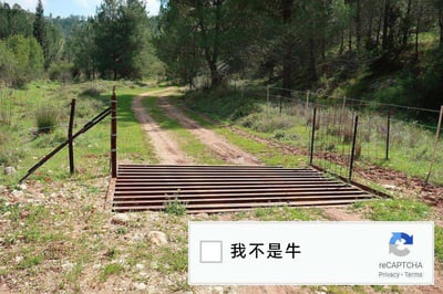 这张图片是经过恶搞创作的趣味梗图，背景是户外乡村的土路场景，路中间设置了一个金属格栅结构的牛栏，这类设施的作用是阻拦牛类通过，防止牛只随意离开牧场。图片下方叠加了谷歌reCAPTCHA人机验证的界面，原本的验证选项文字被替换成了“我不是牛”，结合背景的牛栏形成了巧妙的双关梗：因为牛无法通过这个格栅，验证选项“我不是牛”对应了这个场景，暗示能够通过该格栅的对象就不是牛，将原本的人机验证机制转化为贴合场景的趣味提问，用幽默的方式调侃了验证系统，制造出荒诞又好笑的效果。