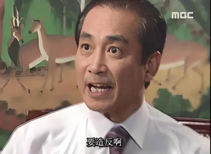 《第五共和国》