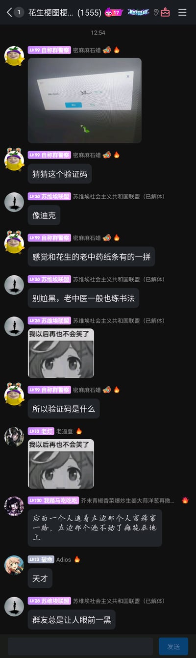 这是一张QQ群聊的截图，群名为“花生梗图梗...(1555)”，群成员“自称群警察”发布了一张难以辨认的工具软件验证码截图，发起“猜猜这个验证码”的互动，引发群友玩梗：有人调侃验证码像“迪克”，有人将其类比老中医的药方字迹，还有群友用荒诞的场景描述解读验证码图案，同时大家使用“我以后再也不会笑了”的二次元梗图表达对魔性验证码的无奈，最后群友调侃群友的脑洞，整个聊天过程充满趣味，是群友间轻松玩梗的互动场景。