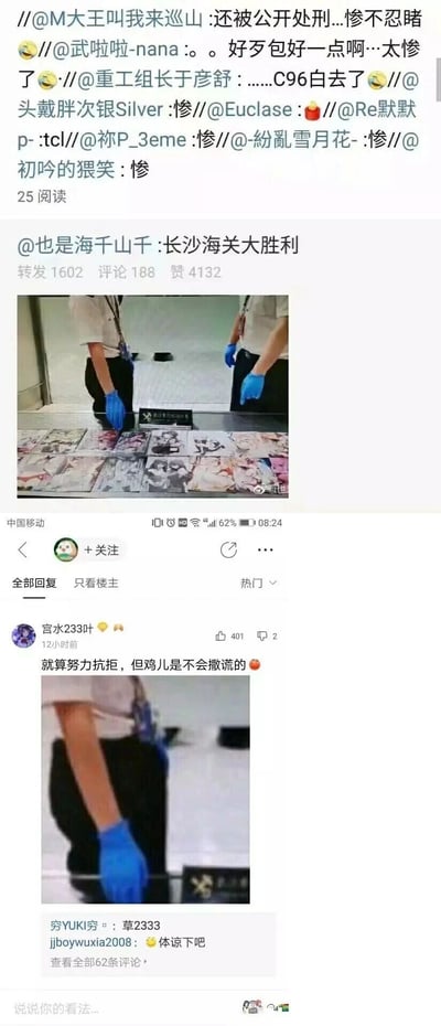 这是一组来自微博平台的竖屏截图内容，整体为图文混排形式。上方是一条多层转发链，多位ACG圈网友用“惨”“C96白去了”“公开处刑”等文字，调侃从日本C96同人展会带回的ACG同人作品被海关查获的持有者；中间是博主@也是海千山千发布的内容，配文“长沙海关大胜利”，配图为两名戴着蓝色手套的海关工作人员，正在查验铺在台面上的多幅ACG风格插画类物品；下方是该条微博的热门评论区，用户“宫水233叶”发布了一张截取海关工作人员下半身的图片，配文“就算努力抗拒，但鸡儿是不会撒谎的”，利用视觉错位玩梗，其他网友回复“草2333”“体谅下吧”等内容，形成趣味互动。