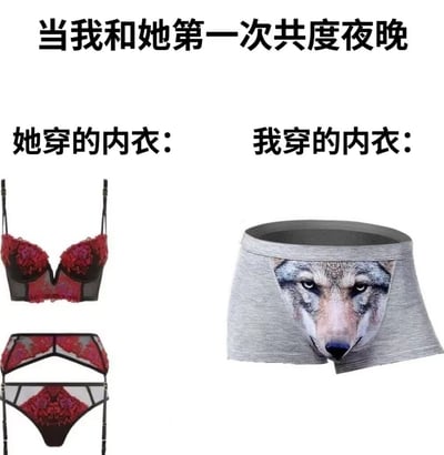 这是一张幽默对比梗图，主题为“当我和她第一次共度夜晚”。图片左侧标注“她穿的内衣”，展示一套精致的红黑色蕾丝内衣套装，设计性感优雅；右侧标注“我穿的内衣”，则是一条灰色平角内裤，正面印有一张狼脸图案，风格粗犷随意。通过两者在款式、风格上的强烈反差，营造出搞笑的喜剧效果，调侃情侣间初次亲密接触时可能存在的形象差异。