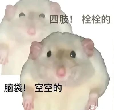 这是一张由两张仓鼠照片拼接而成的文字加注类表情包，图中是两只浅色的宠物仓鼠。上方的仓鼠眼神半眯，神态慵懒，搭配文字“四肢！栓栓的”，这里的“栓栓的”是谐音梗，对应“酸酸的”，用来形容四肢酸痛乏力的状态；下方的仓鼠睁着眼睛，神态茫然无措，搭配文字“脑袋！空空的”，表达大脑一片空白、没有思绪的状态。整张图生动地描绘出身心俱疲、精神不济的状态，非常贴合当代人在工作、学习后或者摸鱼时的疲惫心境，常被用来在社交平台调侃自己的状态。