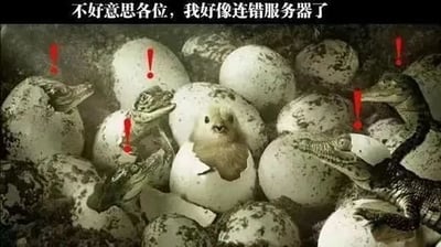 这张梗图展示了一群恐龙蛋孵化的场景，其中一颗蛋里意外孵出了一只小鸡。周围的恐龙幼崽们露出惊讶的表情，上方配有文字‘不好意思各位，我好像连错服务器了’。该梗通过‘连错服务器’这一网络用语，幽默地比喻小鸡误入恐龙群体的错位情境，引发观者共鸣与笑点。