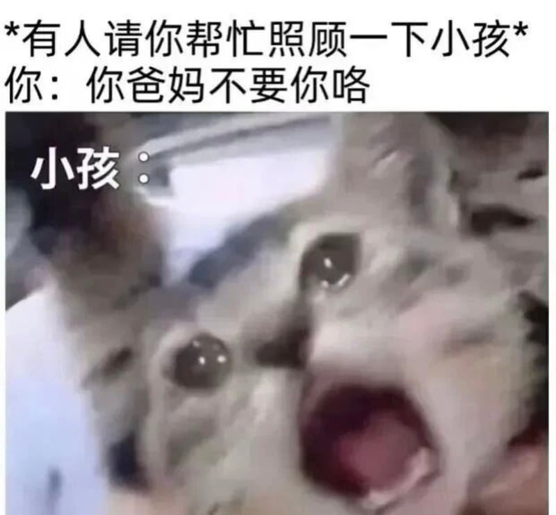 网络流行萌系表情包素材