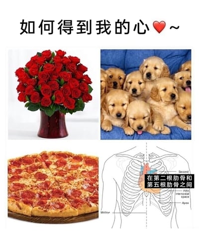 这是一张四格拼接的搞笑趣味图文，顶部配有文字“如何得到我的心❤️~”。左上角展示了插在红色花瓶中的一大束红玫瑰，代表着大众认知里浪漫的示爱获心方式；右上角是一群挤在蓝色沙发上的金毛幼犬，软萌治愈，是很多人喜爱的可爱事物；左下角是一份铺满意大利辣香肠的完整披萨，代表着美食诱惑这类讨喜的方式；右下角则是人体胸腔骨骼示意图，清晰标注出心脏的位置“在第二根肋骨和第五根肋骨之间”，用硬核的生理医学知识打破前面三种常规的浪漫可爱“获心”思路，制造出强烈的反差感，以此达到搞笑玩梗的效果，趣味十足。