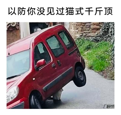这是一张利用视觉错位制造搞笑效果的图片，上方配有文字“以防你没见过猫式千斤顶”。图中一辆红色小型厢式车的后部向上抬起，车底有一只白色猫咪，从视觉角度看仿佛是这只猫咪将沉重的汽车顶了起来，模仿千斤顶的作用。实际上这是视觉错觉，汽车的倾斜是其他原因导致，猫咪只是恰好处于这个位置，搭配趣味配文营造出荒诞又有趣的搞笑氛围，让人觉得猫咪拥有了“千斤顶”的能力。