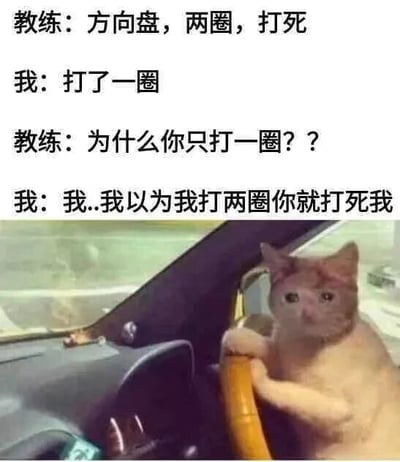 图片上方是教练与学员的对话文本：教练要求“方向盘，两圈，打死”，学员仅打了一圈，教练疑惑询问后，学员委屈解释“我以为我打两圈你就打死我”。下方配图为一只猫坐在汽车驾驶座上，前爪握着方向盘，表情看起来有些困惑，仿佛是对话中的“我”。图片通过“打死”一词的歧义制造笑点——教练说的“打死”是驾驶术语（将方向盘打到底），而学员误以为是“殴打致死”的意思。
