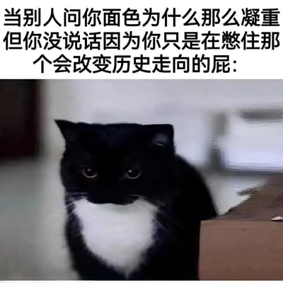 这张梗图上方配有文字"当别人问你面色为什么那么凝重但你没说话因为你只是在憋住那个会改变历史走向的屁:"，下方是一只表情极其严肃的黑白相间猫咪。图片通过将猫咪凝重的神情与憋屁的日常琐事进行夸张对比，创造出幽默效果。猫咪正直视前方，眼神专注，表情严肃，与文字描述的内心活动形成有趣反差。