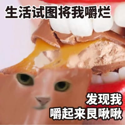 这是一张创意合成的搞笑自嘲梗图，通过图像合成与视觉错位的手法，将猫咪的脸部与正在被人类咀嚼的流心巧克力结合，营造出猫咪被生活“嚼烂”的视觉错觉。图中上方配文“生活试图将我嚼烂”，右下角配文“发现我嚼起来艮啾啾”，以拟人的方式把自己比作这只“艮啾啾”的猫咪，用幽默的口吻表达出在生活压力的磨砺下，自己反而有着坚韧、有韧性的特质，消解了面对生活压力的疲惫感，传递出乐观自嘲的情绪。