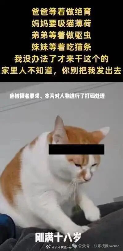 图片上方为黄色文字，内容是猫咪以第一人称吐槽家庭成员的需求：'爸爸等着做绝育 妈妈要吸猫薄荷 弟弟等着做驱虫 妹妹等着吃猫条 我没办法了才干这个的 家里人不知道，你别把我发出去'。中间是一只橘白相间的猫咪，眼睛被黑色条形打码处理，表情显得无奈。图片下方有白色文字'刚满十八岁'，底部有水印'@流汗黄豆meme'和'公众号：快乐爆因meme'。整体通过拟人化手法，将猫咪塑造成承担家庭责任的'成年人'，充满幽默和戏谑感。