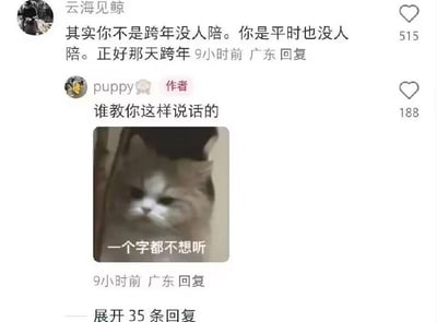 社交媒体评论截图，展示了一条扎心调侃：用户“云海见鲸”评论“其实你不是跨年没人陪。你是平时也没人陪。正好那天跨年”获515赞，作者“puppy”回复“谁教你这样说话的”获188赞，下方配一张表情冷漠的猫图，图中文字“一个字都不想听”，整体风格幽默又带点自嘲，用反差感突出评论的“补刀”效果。
