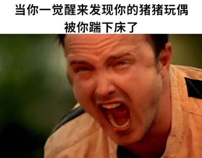 这张梗图上方配有文字“当你一觉醒来发现你的猪猪玩偶被你踹下床了”，下方是一张演员尼古拉斯·凯奇的面部特写截图。图中人物表情极度夸张，眉头紧锁，眼睛瞪大，嘴巴大张，呈现出非常愤怒和震惊的咆哮状态。通过将日常生活中一件小事（玩偶掉下床）与极度夸张的愤怒表情结合，形成强烈的反差萌和幽默感，表达了对心爱物品意外受损或丢失的夸张反应。