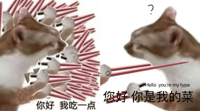 这是一张经典“你好我吃一点”猫咪梗图的变体。左侧是一只猫咪举着大量筷子准备“夹菜”，配有“你好 我吃一点”文字。右侧是另一只猫咪露出疑惑表情，头上有问号，一只筷子指向它，并配有“您好 你是我的菜”（Hello you’re my type）字样。这明显加入了谐音梗与情感暗示，将“菜”双关为“喜欢的类型/对象”，既延续了虚拟聚餐表情包的搞笑风格，又玩味十足。

**双关、谐音梗说明：**
- “你是我的菜”在中文里有“你是我喜欢的类型”之意，这里直接借用虚拟就餐场景，形成调侃和撩人语境的双重意义。
- 英文“Hello you’re my type”加深双关效果。

常见于评论区的美食互动、网络调侃场景，也适合用以半开玩笑地表达对人的好感。