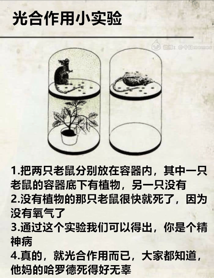 网络恶搞梗图