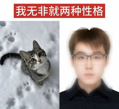 这是一张左右对比形式的网络梗图，顶部设置红底白字的标题“我无非就两种性格”；左侧部分是站在积雪上的虎斑小猫，周围散落着猫爪印，小猫睁着圆眼睛抬头看向上方，神态软萌无辜；右侧部分是戴黑框眼镜、穿黑色衬衫的年轻男性正面证件照风格的图像，人物面无表情，神态冷淡平静。整张图用两种反差极大的形象，来调侃自身性格存在软萌和冷淡两种截然不同的状态，属于常见的自嘲类网络创作。