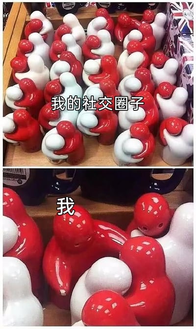 这是一张通过视觉错觉和上下对比来表达社交孤独感的网络梗图。上图从远距离视角拍摄大量红白两色的陶瓷摆件，这些摆件的造型在远看时呈现出相互拥抱的状态，搭配配文“我的社交圈子”，营造出一种社交关系紧密、人脉广泛的假象；下图则是近距离拍摄这些摆件，揭示出它们其实都是独立的个体，并没有真正相拥，搭配配文“我”，以此生动自嘲自己的社交圈子看似热闹繁华，实际上自己始终处于孤独的状态，精准戳中了社恐人群或在社交中感到孤独的人的内心。