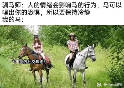 这是一张反差感拉满的搞笑meme图，上方文字呈现驯马师的专业指导：“人的情绪会影响马的行为，马可以嗅出你的恐惧，所以要保持冷静”，紧接着用“我的马：”引出下方的实拍场景——户外翠绿的草地中，两位骑手分别骑着棕色马和白色马，其中棕色马的下方被标注了“*严重的社交焦虑*”。图片通过拟人化的手法，打破了“马受人类情绪影响”的常规认知，将人类的社交焦虑情绪赋予马，制造出荒诞又贴合当下年轻人情绪共鸣的幽默效果，调侃了社交焦虑这一普遍的心理状态。