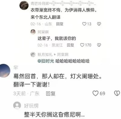 这张图是社交媒体评论区的截图，展示了一场有趣的“跨次元对话”：有用户甩出两句经典古诗词——柳永的“衣带渐宽终不悔，为伊消得人憔悴”和辛弃疾的“蓦然回首，那人却在，灯火阑珊处”，并喊话求东北人翻译。下方评论区秒速接梗，黑龙江网友用“这辈子，我就该你的”翻译前者，把深情执念化为直爽告白；另一网友则将“灯火阑珊处”翻成“整半天你搁这旮瘩尼啊...”，方言自带的幽默让古典意境秒变接地气场景，评论区的哈哈哈哈更是溢出屏幕，完美诠释了传统文化与地方方言碰撞出的欢乐火花。
