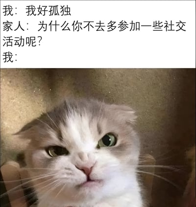 图片上半部分为文字对话，内容是“我：我好孤独 家人：为什么你不去多参加一些社交活动呢？ 我：”，下半部分是一只灰白相间的猫直视镜头，表情冷漠，仿佛对家人的建议无动于衷，生动展现了当代部分年轻人面对社交压力时的孤独与无奈心态。