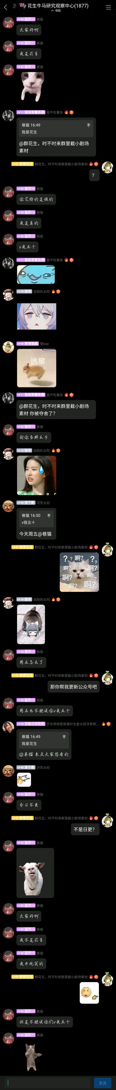 这是一张QQ群“花生牛马研究观察中心”的超长竖屏聊天截图，群成员“猛的一巷猫”开启整活模式，先是自称“花生”并发布猫猫表情包，随后群友配合互动玩梗：有群友@群花生，该成员立刻表示被@的是假的，自己才是真的，还抛出“V我五十”的网络梗；后续群友们纷纷发布疑惑猫猫、流汗真人、逃窜兔子等热门网络表情包烘托氛围，该成员还反复切换自称，一会是花生一会又说自己是好市民，但始终不忘“V我五十”的梗，期间还有群友提出让其更新公众号的趣味要求，整个群聊充满轻松搞笑的网友整活氛围，全程用网络流行梗和表情包串联起趣味互动。
