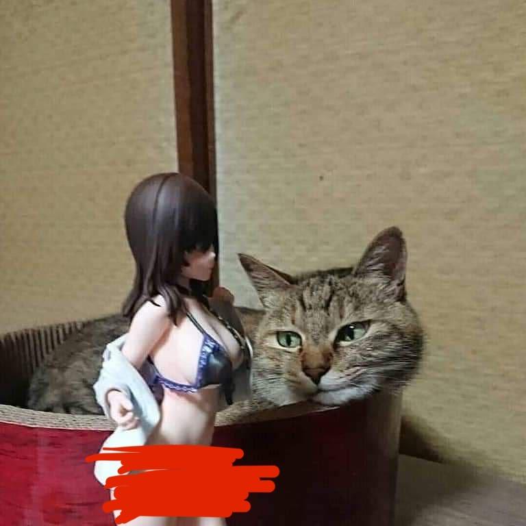 未知手办作品