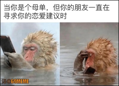 这张梗图分为两格，主角是一只猴子泡在水里，手里拿着手机。第一格猴子认真看着手机，似乎在回复信息；第二格猴子一手捂脸露出无奈或崩溃的神情。

上方的文字写着“当你是个母单，但你的朋友一直在寻求你的恋爱建议时”，意思是自己明明没谈过恋爱（母单，即完全单身），却要给有恋爱困扰的朋友出主意，引发尴尬与无语的趣味氛围。

**无明显双关或谐音梗，图像表达的是现实生活中的反差趣味。**