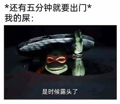 这是一张引发生活共鸣的搞笑梗图，顶部文字设定场景为“*还有五分钟就要出门* 我的屎：”，将此时突然想要排便的生理需求拟人化，用《忍者神龟》中戴着橙色眼罩的米开朗基罗从下水道井盖探出头的画面来代表“屎”，配文“是时候露头了”，生动又戏谑地调侃了人们在赶时间时总会遇到这种尴尬又无奈的突发状况，精准戳中很多人的生活经历，充满搞笑趣味。