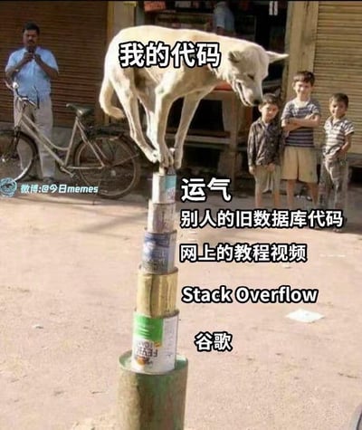 一只狗摇摇晃晃地站在由多个罐头堆叠而成的柱子顶端，狗身上标注着“我的代码”。支撑狗的罐头从下到上依次标注着“谷歌”、“Stack Overflow”、“网上的教程视频”、“别人的旧数据库代码”和“运气”。背景中有几个人在围观这一场景。图片通过狗的不稳定平衡状态，幽默地比喻了程序员的代码往往依靠各种外部资源和运气才能运行的现象。