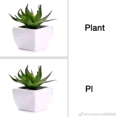 这是一张上下对比结构的谐音梗表情包，上下两部分的主体完全一致，都是一盆种植在白色方形花盆里的绿色芦荟类多肉植物，背景为纯白色。上半部分图片右侧标注英文单词“Plant”，词义为植物；下半部分图片右侧仅保留了“Plant”的前两个字母“Pl”，省略了后三个字母“ant”，利用英文缩写的发音玩谐音梗，发音接近中文口语“屁嘞”，常被用来表达否定、不屑、不以为然的情绪。