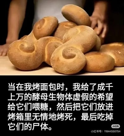 这是一张顶配底文图，上半部分是真实拍摄的静态照片，画面中摆放着多个造型独特的螺旋状烤面包，面包呈现出诱人的棕黄色，背景里能看到人的双手放在浅色桌面上，似乎刚完成面包的摆放动作；下半部分是黑色背景的白色文字，以拟人化的视角调侃烤面包的过程，文字内容为“当在我烤面包时，我给了成千上万的酵母生物体虚假的希望 给它们喂糖，然后把它们放进烤箱里无情地烤死，最后吃掉它们的尸体。”，这段文字将酵母当作有感知的生命体，用略带荒诞戏谑的语气解构日常的烘焙行为，制造出反差感和趣味性，让普通的烤面包这件事变得充满戏剧化的叙事感。