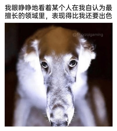 这是一张精准戳中情绪的图文梗图，上方的中文文案“我眼睁睁地看着某个人在我自认为最擅长的领域里，表现得比我还要出色”，描绘了在自己引以为傲的领域被他人超越时的扎心场景；下方的苏俄猎狼犬照片因视觉错位效果，狗面部两侧的毛发看起来像是人的手捂住了脸，搭配狗狗瞪大双眼、呆滞震惊的眼神，将那种难以置信、挫败崩溃的情绪拟人化地展现出来，生动又形象地让观者共情这种在优势领域被超越的失落感。