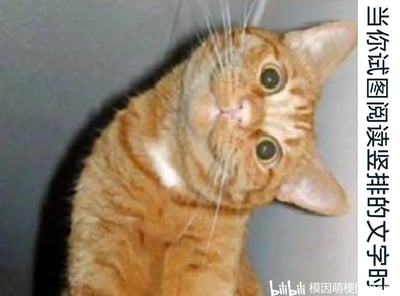 这是一张生活化的搞笑梗图，主体是一只歪着脑袋的橘猫，它眼睛圆睁，头部向一侧倾斜，神态看起来既疑惑又带着费力理解的感觉。图片右侧配有竖排文字“当你试图阅读竖排的文字时”，将猫咪歪头的动作拟人化，精准类比了人们在阅读竖排文字时，需要转动头部、调整视线来适应的状态，用幽默的方式调侃了这种阅读场景下的别扭感，很容易让有过类似经历的人产生共鸣，适合在社交平台用来表达阅读竖排文字时的真实感受。
