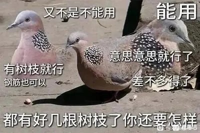 这是一张基于真实珠颈斑鸠照片改编的文字加注梗图，画面里三只珠颈斑鸠站在地面上，分别搭配了不同的吐槽文字，同时图的顶部和底部也有相关文字。这些文字包括“又不是不能用”“能用”“有树枝就行 钢筋也可以”“意思意思就行了”“差不多得了”“都有好几根树枝了你还要怎样”，整体传递出一种敷衍、凑活、得过且过的心态，精准调侃了职场或生活中，人们在完成任务、处理事务时降低标准、应付了事的状态，比如在工作中只求任务“能用”，不追求质量与完善，很适合用于自嘲或吐槽这类行为。