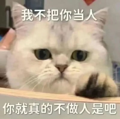 一张猫咪怼人表情包，画面中央是一只表情严肃的白猫，正直视前方，一只爪子微微抬起。图片上方配有文字“我不把你当人”，下方配有文字“你就真的不做人是吧”，形成了幽默的对话效果。猫咪的表情与文字内容形成有趣的反差萌，适合用于朋友间的调侃互动。